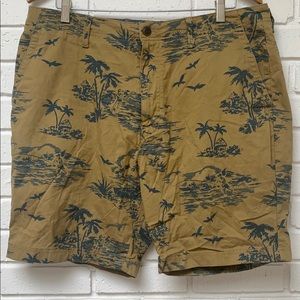 Nautica Island-Theme Shorts 36W